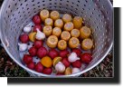 boilcorn